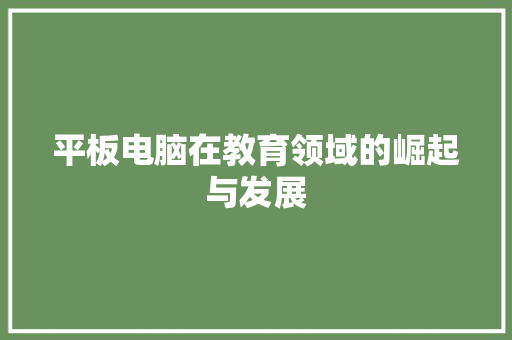 平板电脑在教育领域的崛起与发展