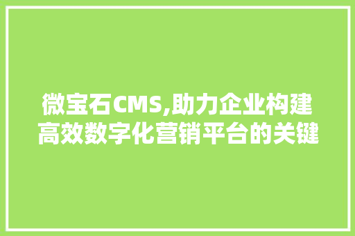 微宝石CMS,助力企业构建高效数字化营销平台的关键利器 必应SEO