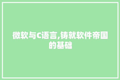 微软与C语言,铸就软件帝国的基础 百度SEO