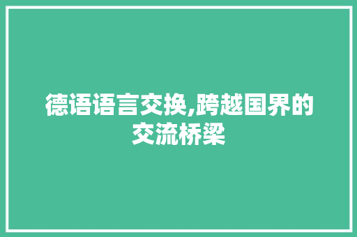 德语语言交换,跨越国界的交流桥梁 神马SEO