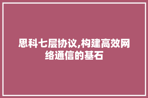 思科七层协议,构建高效网络通信的基石 GoogleSEO