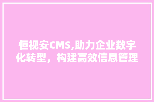 恒视安CMS,助力企业数字化转型，构建高效信息管理平台 百度SEO