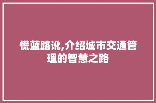 慌蓝路讹,介绍城市交通管理的智慧之路 GoogleSEO