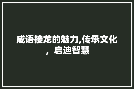 成语接龙的魅力,传承文化，启迪智慧 搜狗SEO
