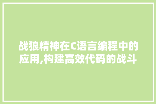 战狼精神在C语言编程中的应用,构建高效代码的战斗之路 必应SEO