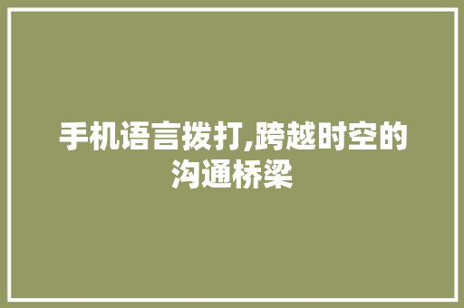 手机语言拨打,跨越时空的沟通桥梁 GoogleSEO