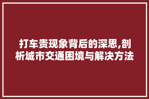 打车贵现象背后的深思,剖析城市交通困境与解决方法 神马SEO