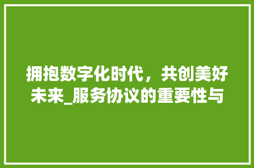 拥抱数字化时代，共创美好未来_服务协议的重要性与未来展望 搜狗SEO