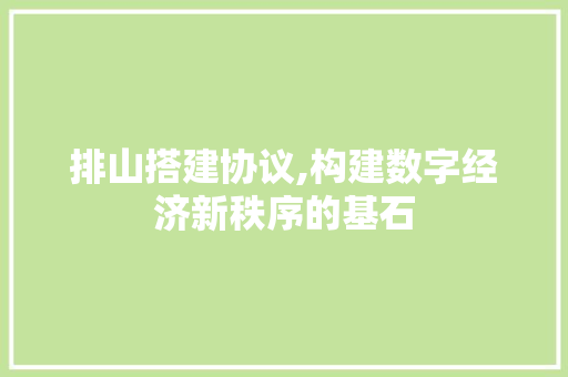排山搭建协议,构建数字经济新秩序的基石