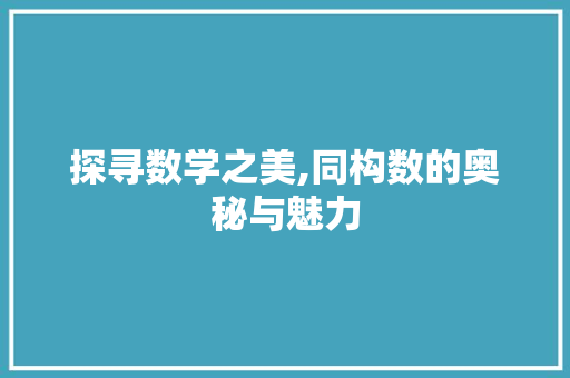 探寻数学之美,同构数的奥秘与魅力 必应SEO