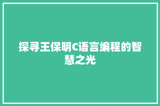 探寻王保明C语言编程的智慧之光 必应SEO