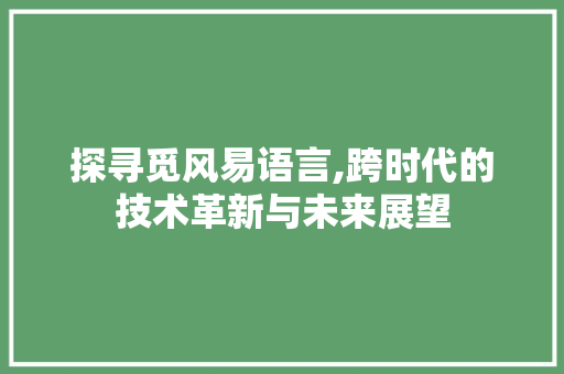 探寻觅风易语言,跨时代的技术革新与未来展望 必应SEO
