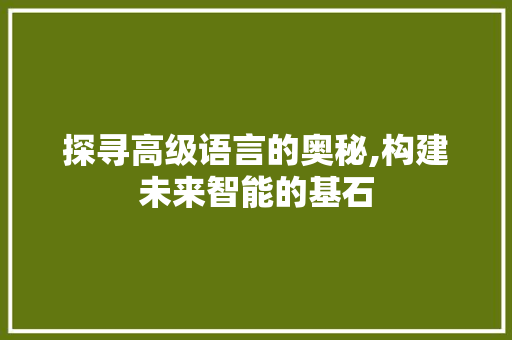 探寻高级语言的奥秘,构建未来智能的基石 神马SEO