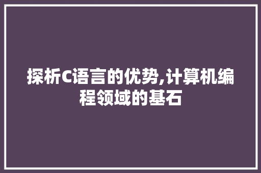 探析C语言的优势,计算机编程领域的基石 百度SEO