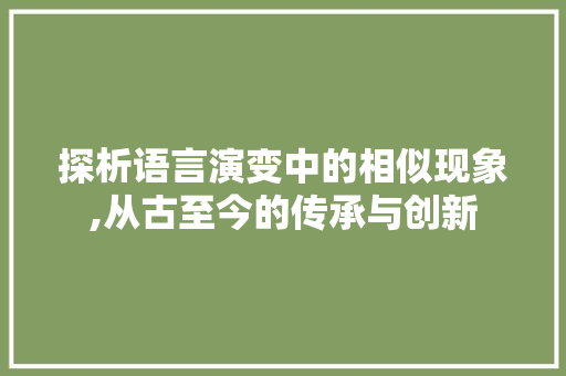 探析语言演变中的相似现象,从古至今的传承与创新 百度SEO