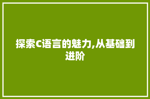 探索C语言的魅力,从基础到进阶 GoogleSEO