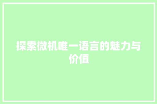 探索微机唯一语言的魅力与价值 搜狗SEO