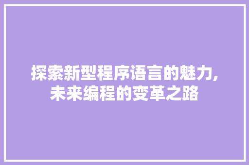 探索新型程序语言的魅力,未来编程的变革之路 神马SEO