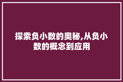 探索负小数的奥秘,从负小数的概念到应用 GoogleSEO