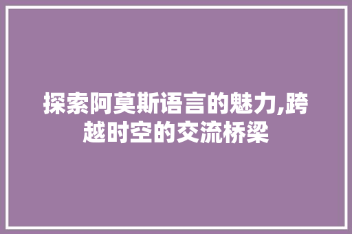 探索阿莫斯语言的魅力,跨越时空的交流桥梁 GoogleSEO