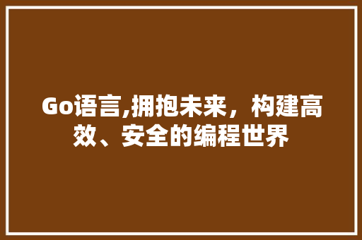 Go语言,拥抱未来，构建高效、安全的编程世界 神马SEO