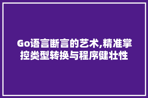 Go语言断言的艺术,精准掌控类型转换与程序健壮性 必应SEO