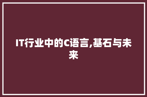 IT行业中的C语言,基石与未来 搜狗SEO