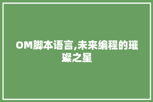 OM脚本语言,未来编程的璀璨之星 百度SEO
