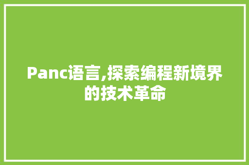 Panc语言,探索编程新境界的技术革命 神马SEO