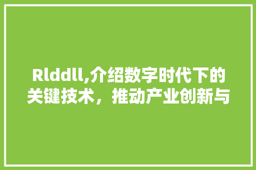 Rlddll,介绍数字时代下的关键技术，推动产业创新与发展