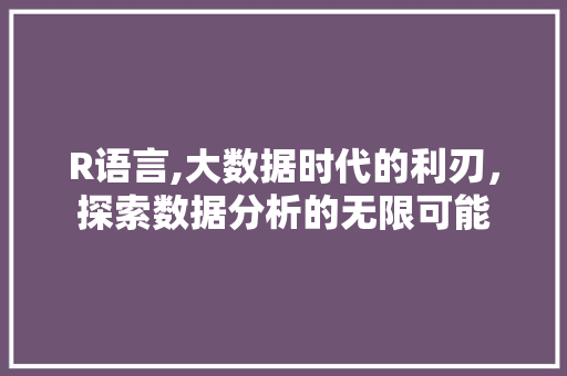 R语言,大数据时代的利刃，探索数据分析的无限可能 神马SEO