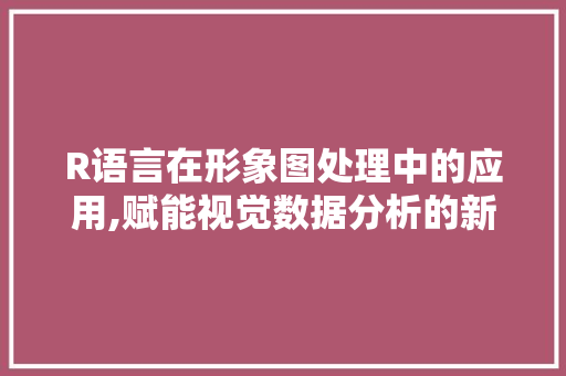 R语言在形象图处理中的应用,赋能视觉数据分析的新篇章 必应SEO
