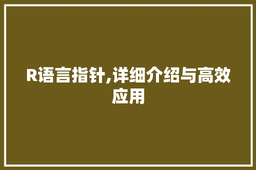 R语言指针,详细介绍与高效应用 必应SEO
