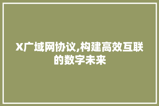 X广域网协议,构建高效互联的数字未来 搜狗SEO