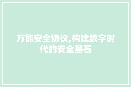 万能安全协议,构建数字时代的安全基石 GoogleSEO
