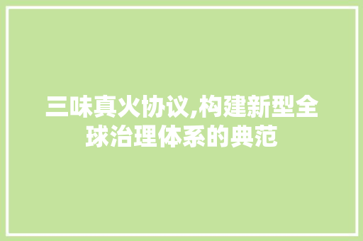 三味真火协议,构建新型全球治理体系的典范 必应SEO