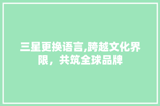 三星更换语言,跨越文化界限，共筑全球品牌