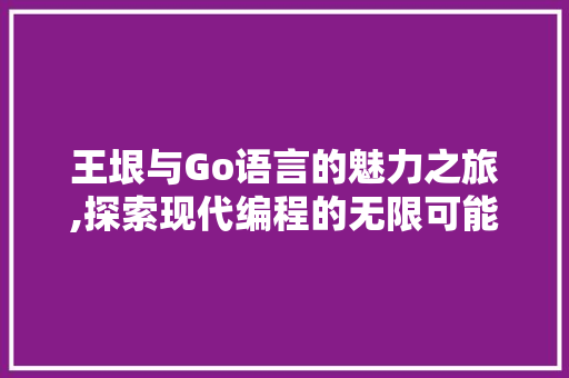 王垠与Go语言的魅力之旅,探索现代编程的无限可能 百度SEO