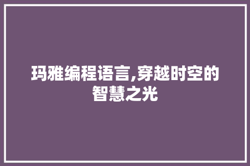 玛雅编程语言,穿越时空的智慧之光 百度SEO
