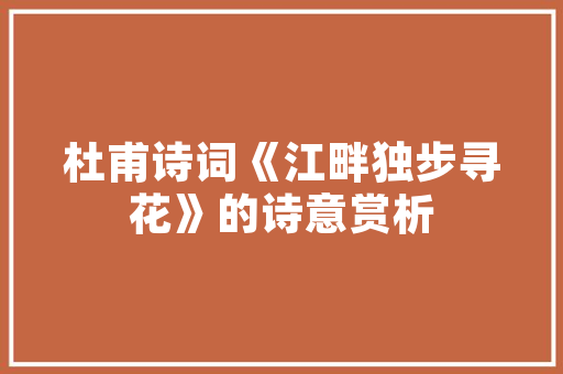 甲小鱼C语言编程之旅,探索编程的魅力与挑战 GoogleSEO