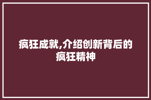 疯狂成就,介绍创新背后的疯狂精神 神马SEO