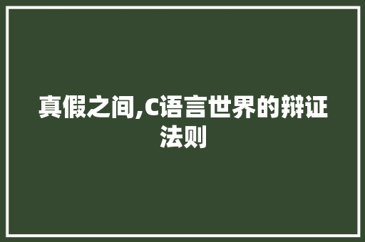 真假之间,C语言世界的辩证法则 GoogleSEO 真假之间,C语言世界的辩证法则 GoogleSEO