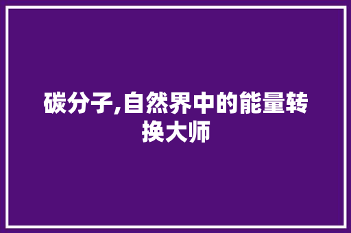 碳分子,自然界中的能量转换大师 神马SEO