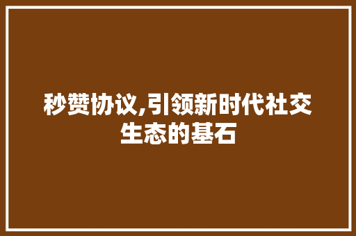秒赞协议,引领新时代社交生态的基石