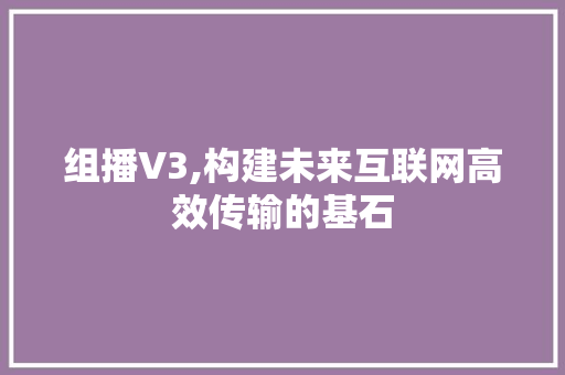 组播V3,构建未来互联网高效传输的基石