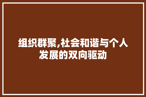 组织群聚,社会和谐与个人发展的双向驱动 百度SEO
