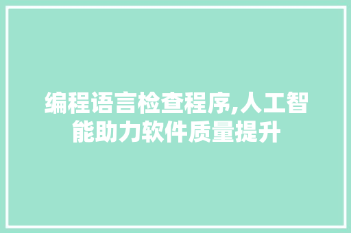 编程语言检查程序,人工智能助力软件质量提升