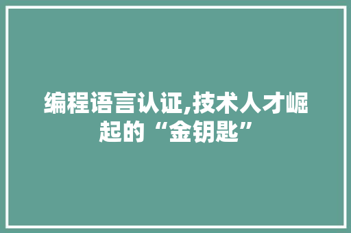 编程语言认证,技术人才崛起的“金钥匙” 神马SEO