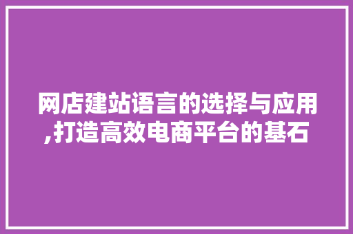 网店建站语言的选择与应用,打造高效电商平台的基石 百度SEO