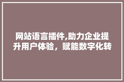 网站语言插件,助力企业提升用户体验，赋能数字化转型 百度SEO